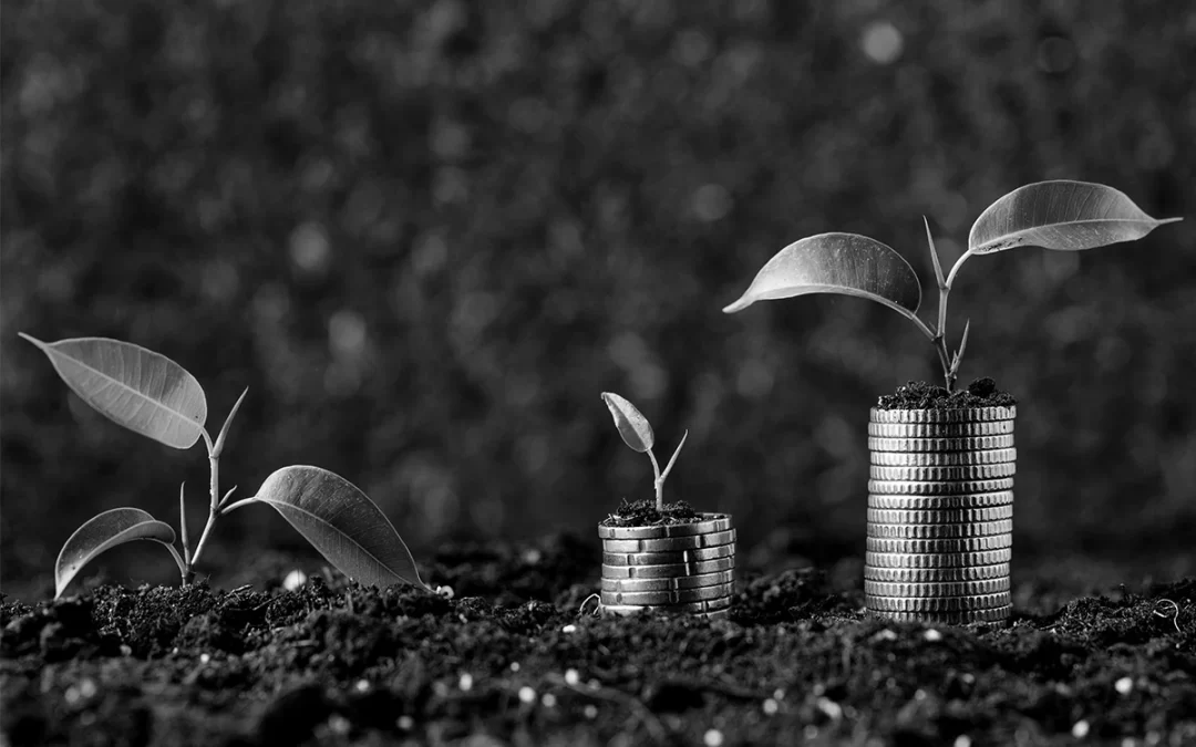 Surviving the Financial Hangover: Tips for Making it Through January